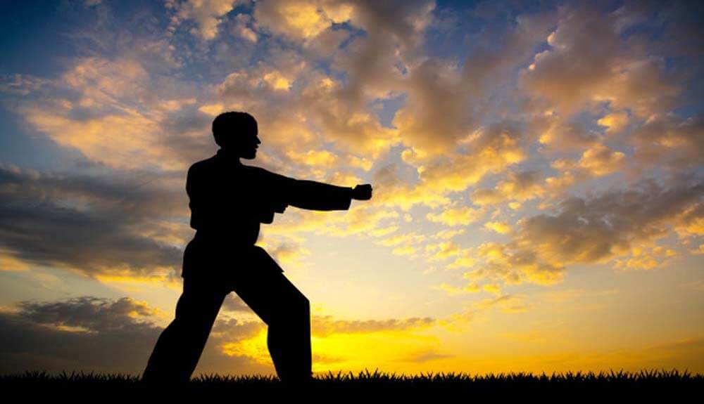 A importância de entender o que é um sistema de Kung Fu 2